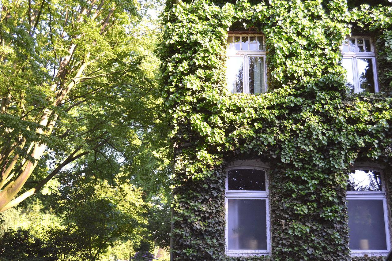 Hotel Gottesgabe Rheine Esterno foto